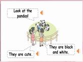 Unit 5  At the zoo Unit Review（課件+素材）-2024-2025學(xué)年冀教版（三起）（2024）英語三年級下冊