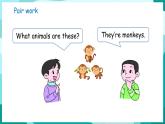 Unit 3 In the zoo Lesson 3 How many ducks can you see（課件+素材）-2024-2025學(xué)年魯科版（五四學(xué)制）（三起）（2024）英語三年級(jí)下冊(cè)
