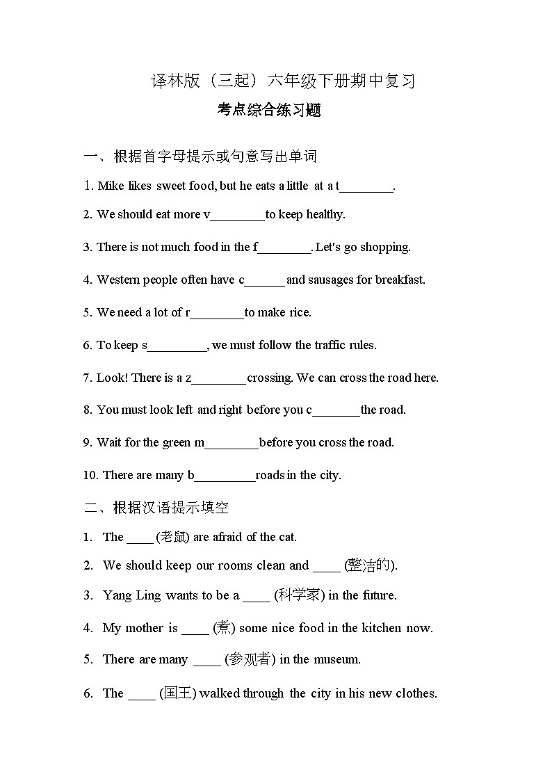 期中复习 考点综合练习（试题）-2024-2025学年译林版（三起）英语六年级下册第1页