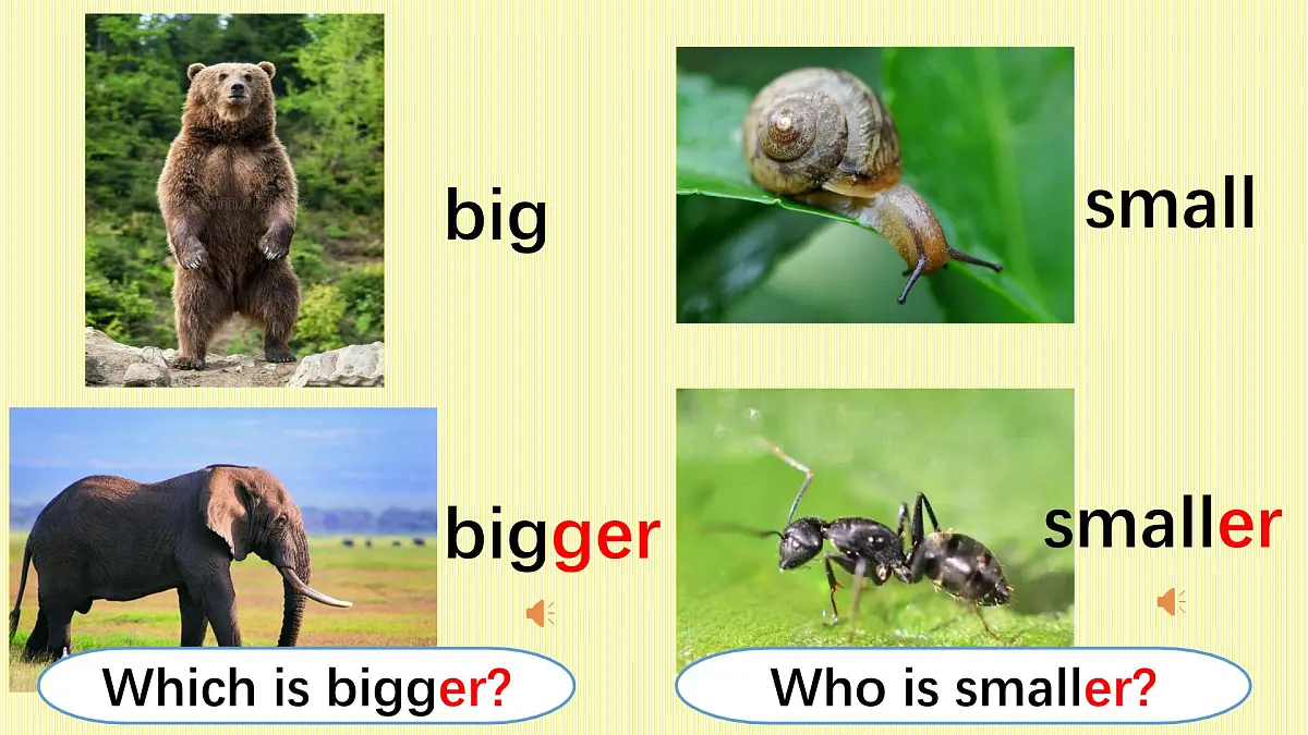 Unit1 How tall are you Part B Let's learn（课件）2025年人教PEP版英语六年级下册第6页