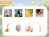 Unit 5 Animals Lesson 3 課件 英語人教精通版（2024）三年級下冊