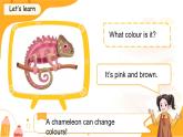 Unit 6 Colours Lesson 2 課件 英語人教精通版（2024）三年級下冊