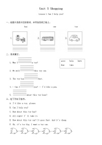 英语鲁科版 (五四制)2024Lesson 2 Do you have schoolbags?优秀课堂检测