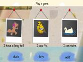 Unit 4 Lesson 4 I like all farm animals 課件 小學(xué)英語冀教版（2024）三年級(jí)下冊(cè)