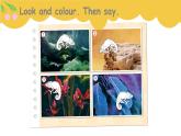 unit3 It's a colourful world- part 4 課件+教案+習(xí)題