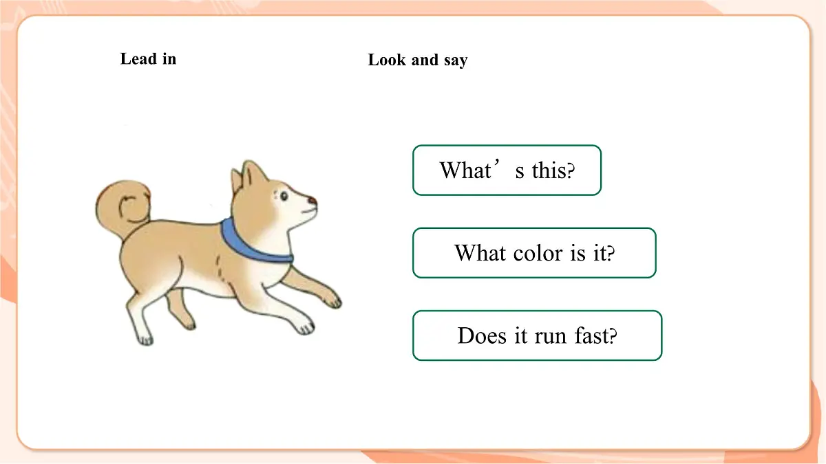 Unit 7 The Pet Is Lovely Lesson 4 课件第5页