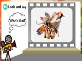 【新教材核心素養(yǎng)優(yōu)質(zhì)課】精通版英語三年級下冊Unit5 Animals Lesson 3 課件+單元整體教學(xué)設(shè)計+素材