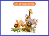 人教版（新起點）英語六上Unit 3《Animal World》 第一課時 課件