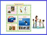 人教版（新起點）英語六上Unit 3《Animal World》 第一課時 課件