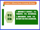 人教版（新起點）英語六上Unit 3《Animal World》 第三課時 課件