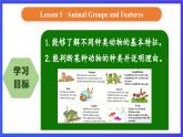 人教版（新起點）英語六上Unit 3《Animal World》 第五課時 課件
