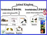 人教版（新起點）英語六上Unit 3《Animal World》 第五課時 課件