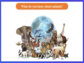 人教版（新起點）英語六上 Revision 2 Interesting Facts About Animals 課件