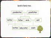 人教版PEP（2024）英語三年級(jí)上冊(cè)  Unit 2 Different families Part C（課件）