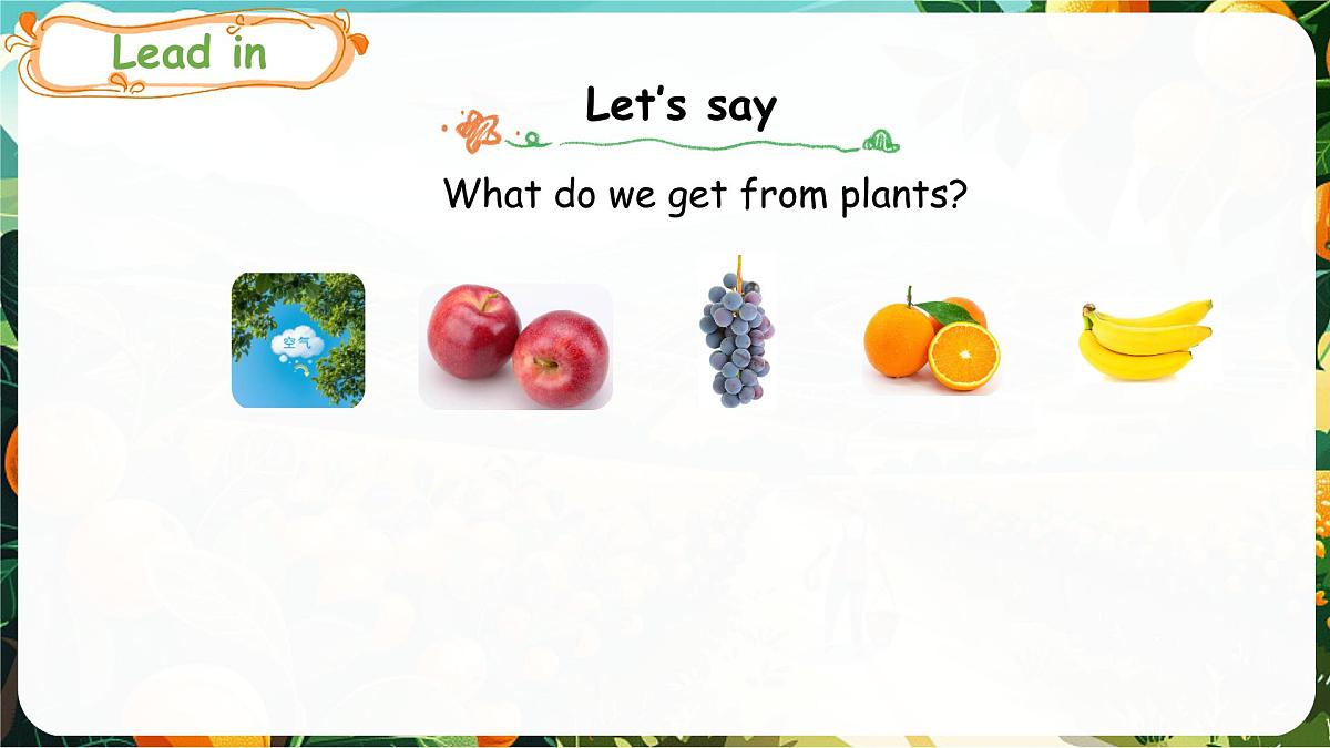 人教版PEP（2024）英语三年级上册  Unit 4 Plants around us Part B（3）Start to read（课件）第2页