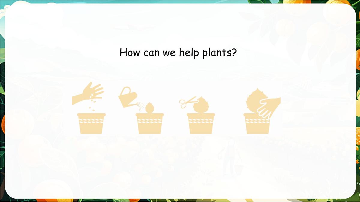 人教版PEP（2024）英语三年级上册  Unit 4 Plants around us Part B（3）Start to read（课件）第3页
