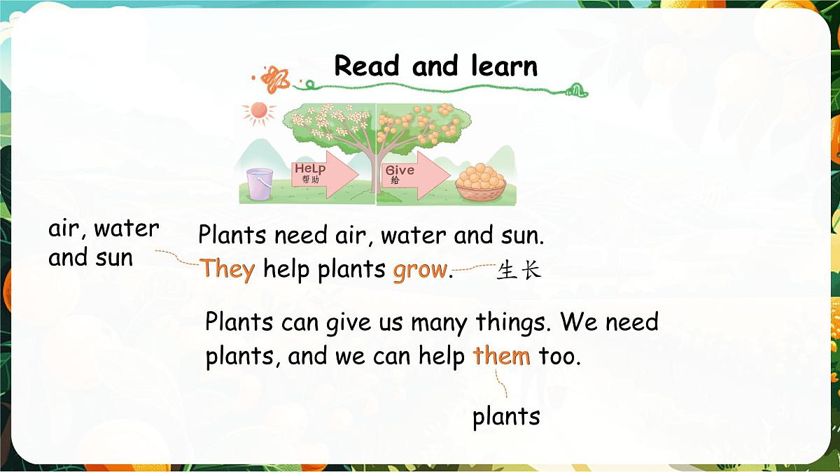 人教版PEP（2024）英语三年级上册  Unit 4 Plants around us Part B（3）Start to read（课件）第8页