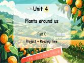 人教版PEP（2024）英語三年級上冊  Unit 4 Plants around us Part C（課件）