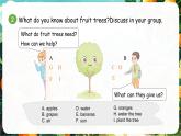 人教版PEP（2024）英語三年級上冊  Unit 4 Plants around us Part C（課件）