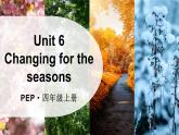 人教版PEP（2024）英語(yǔ)四年級(jí)上冊(cè) Unit 6 Changing for the seasons 單詞講解（課件）