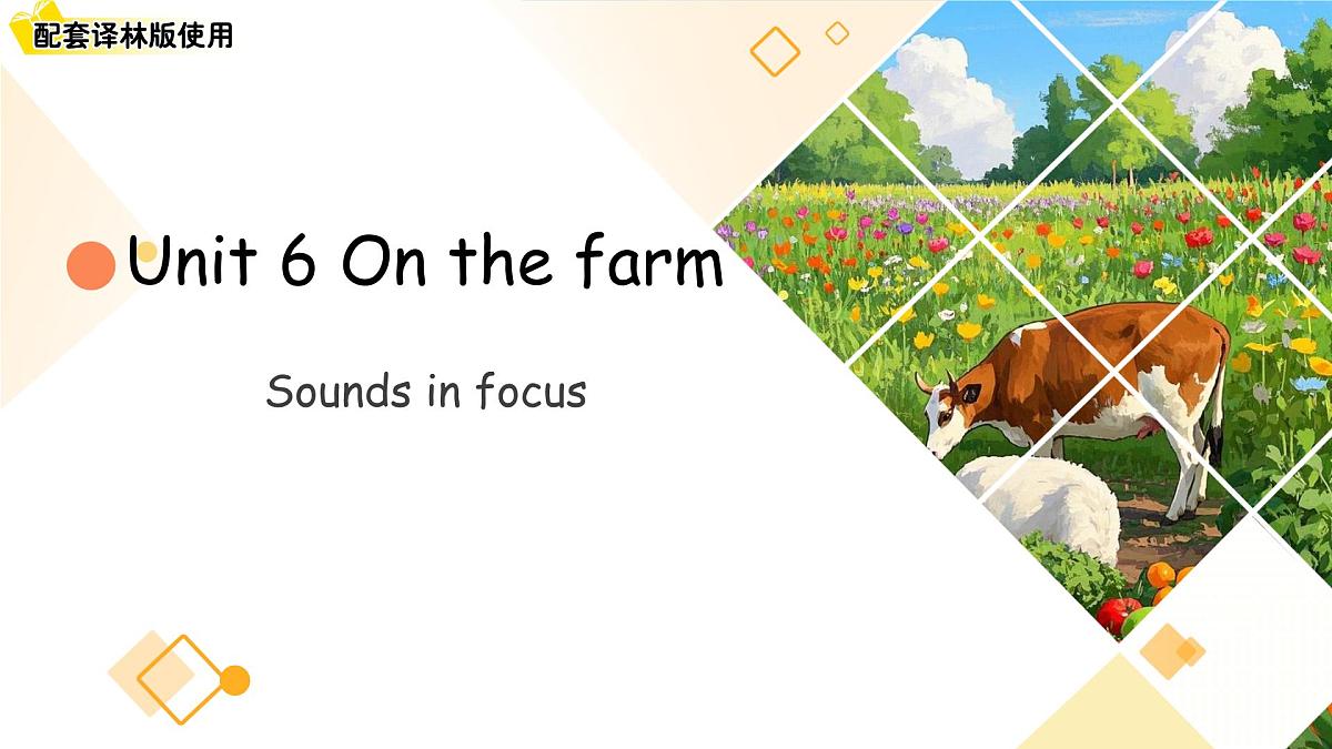 Unit 6 On the farm第2课Sounds in focus 课件 英语译林版（2024）三年级下册第1页