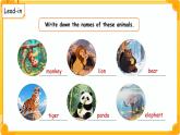 Unit 7 Animals 單元復習課件 英語譯林版（2024）三年級下冊