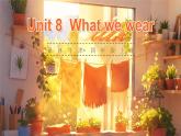 Unit 8  What we wear單詞講解（課件）2025-2026學(xué)年譯林版四年級英語上冊