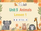 人教精通版（2024）英語四年級上冊 Unit 5 Animals單詞講解（課件）