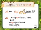 人教精通版（2024）英語四年級上冊 Unit 5 Animals單詞講解（課件）
