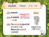 人教精通版（2024）英語四年級上冊 Unit 5 Animals單詞講解（課件）