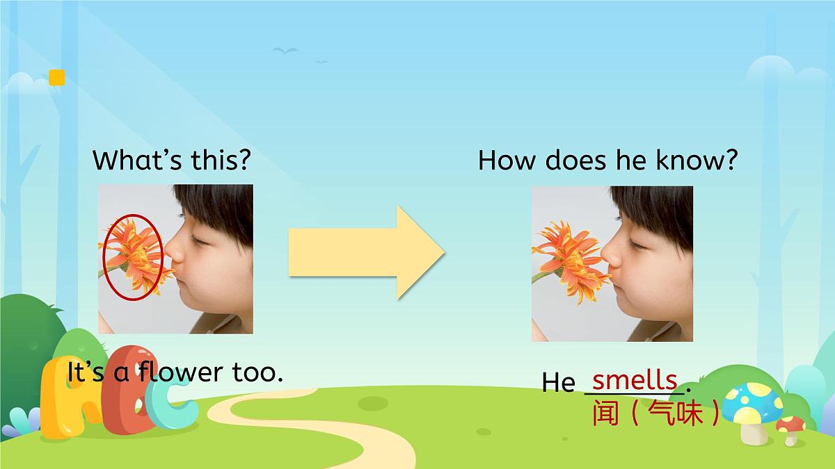 Unit 3 Learning better Part B Let’s learn课件 英语人教PEP（2024）新课标三年级下册第7页