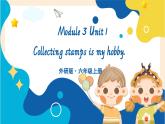 Module 3 Unit 1 Collecting stamps is my hobby.課件