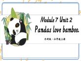 Module 7 Unit 2 Pandas love bamboo.課件