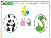 Module 7 Unit 2 Pandas love bamboo.課件