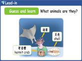 新人教版PEP（2024）英語四年級上冊U nit 2 My friends Part A 第3課時 Let's spell（課件+素材）
