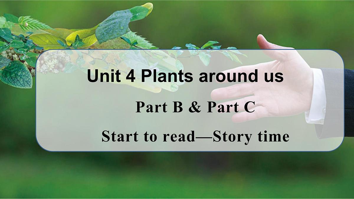 Unit4 第6课时 Part B Start to read& Part C make a paper garden（教学课件）第1页