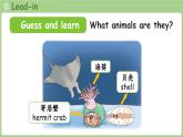 Unit 2 My friends Part A 第3課時 Let's spell（課件）2025-2026學年人教版四年級英語上冊