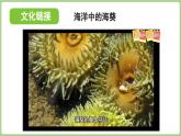 Unit 2 My friends Part A 第3課時 Let's spell（課件）2025-2026學年人教版四年級英語上冊