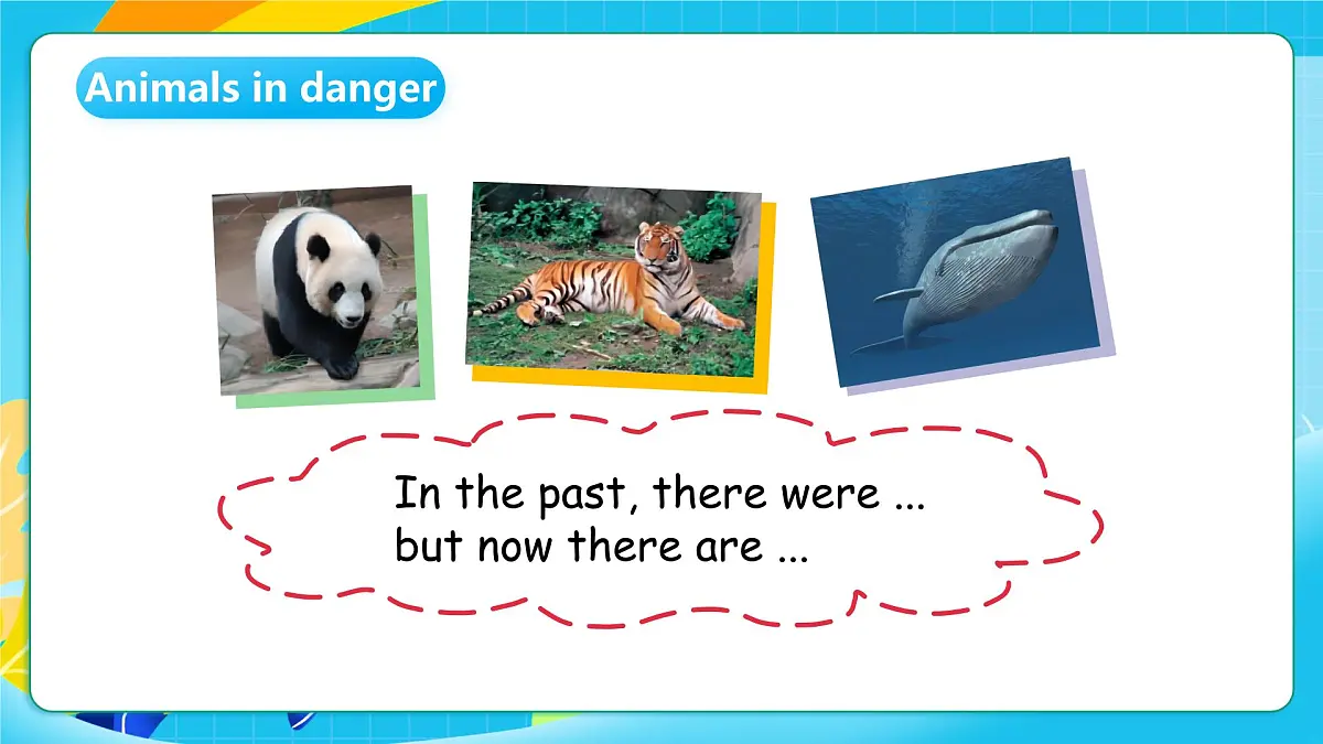 沪教牛津版（六三制一起）英语六上 Module 2 Unit 5《Animals in danger》第3课时 课件第3页