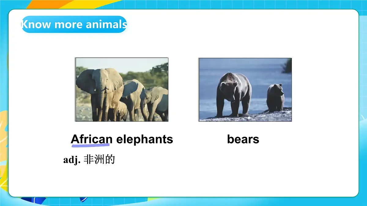 沪教牛津版（六三制一起）英语六上 Module 2 Unit 5《Animals in danger》第3课时 课件第4页
