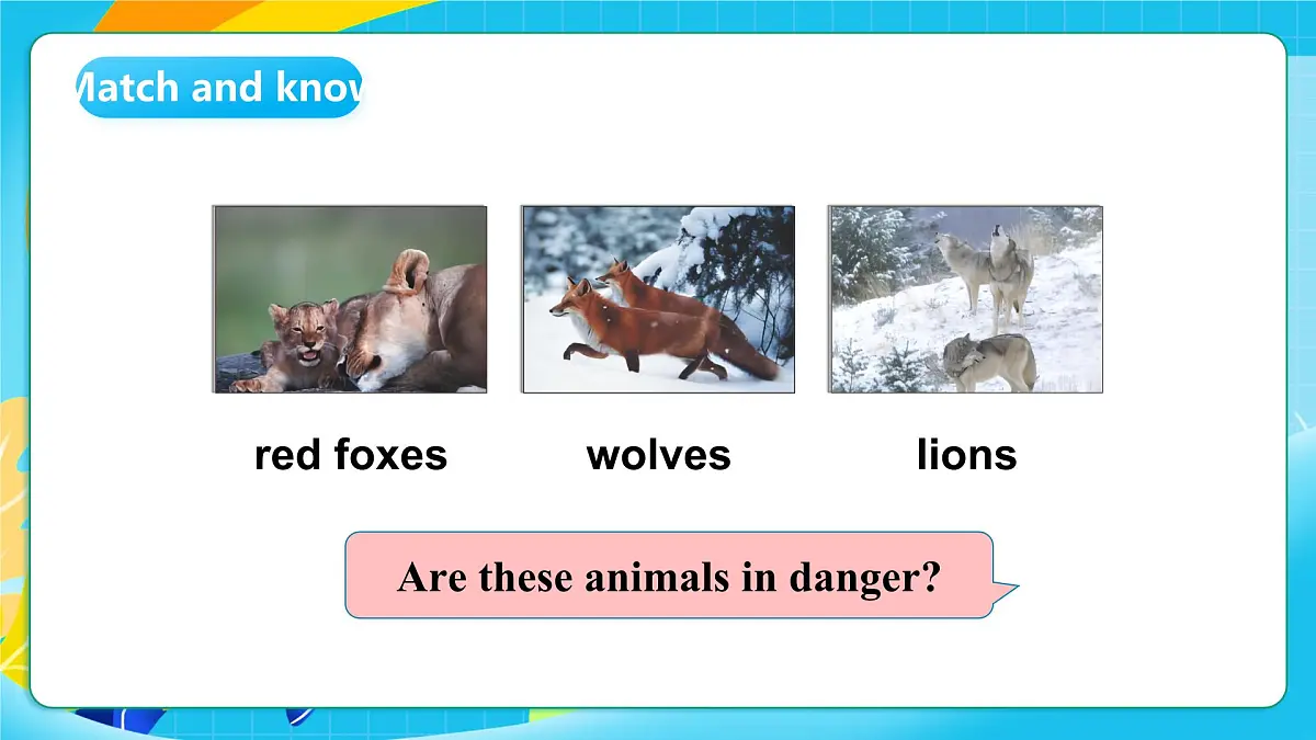 沪教牛津版（六三制一起）英语六上 Module 2 Unit 5《Animals in danger》第3课时 课件第5页
