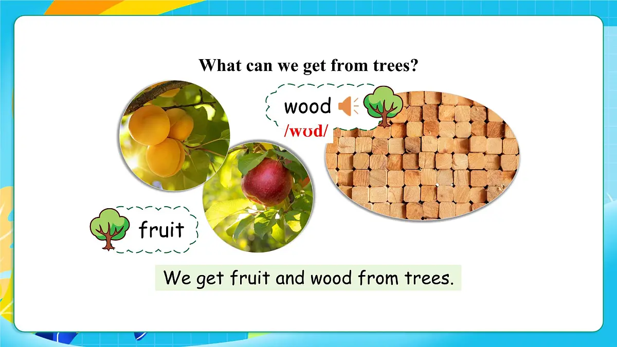 沪教牛津版（六三制一起）英语六上 Module 4 Unit 11《Trees》第1课时 课件第6页
