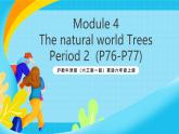 沪教牛津版（六三制一起）英语六上 Module 4 Unit 11《Trees》第2课时 课件+素材