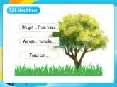 沪教牛津版（六三制一起）英语六上 Module 4 Unit 11《Trees》第2课时 课件+素材
