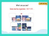 人教版PEP英語四年級上冊Unit 2 My friends PartA Let's spell 課件