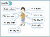 魯科版（五四制）（2024）三年級(jí)上冊(cè)英語(yǔ) Unit 3 Parts of the body Lesson 3  I have two wings 課件+素材