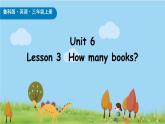 魯科版（五四制）（2024）三年級上冊英語 Unit 6  Lesson 3  How many books課件+素材
