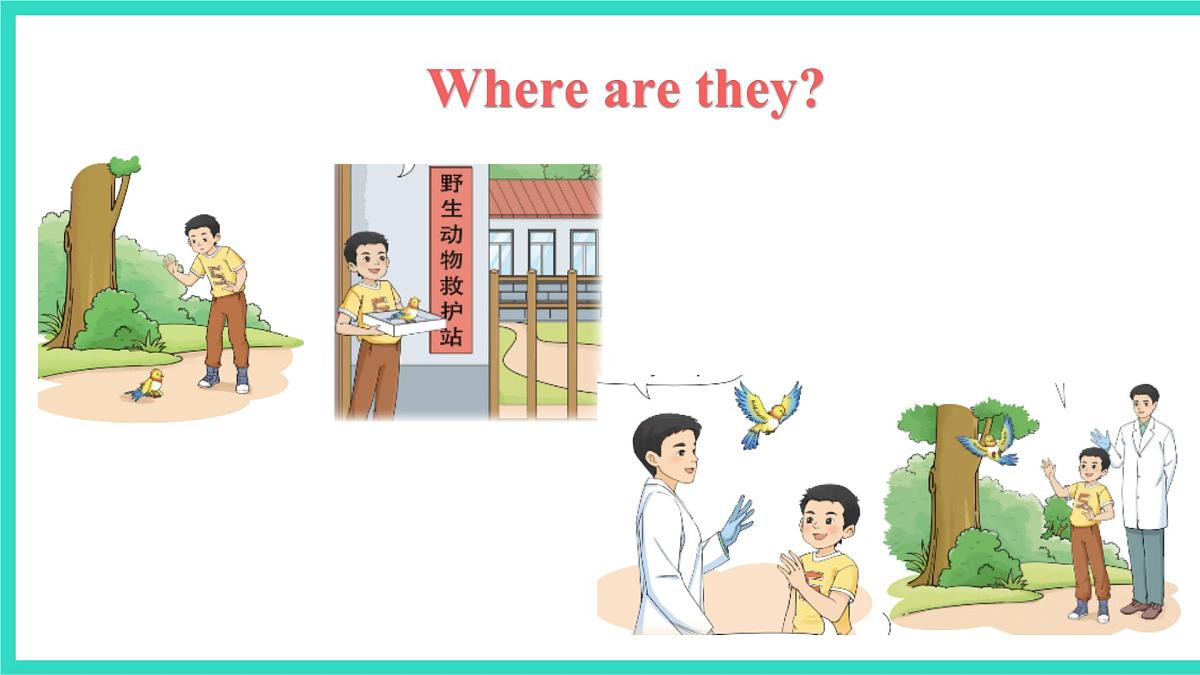 北京版英语三年级上册Unit 3 Lovely Animals Lesson 11  Kiki Is Not My Pet（课件）第4页