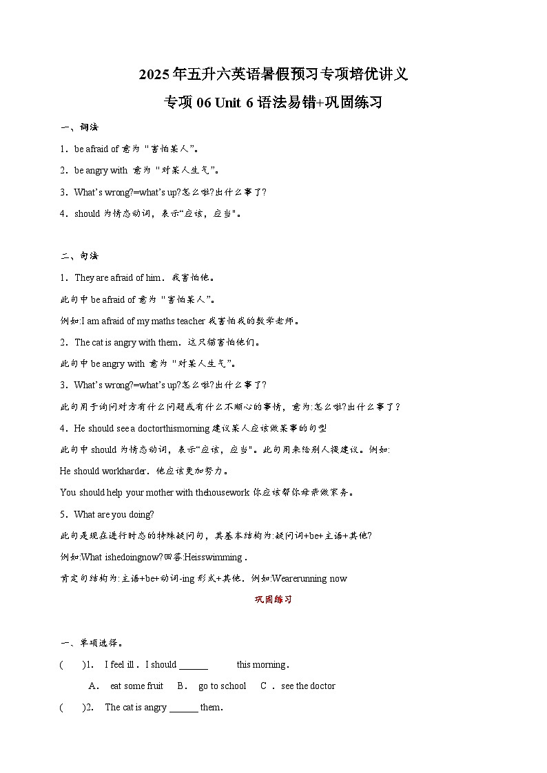 专项06 Unit 6 语法易错+巩固练习-2025年五升六英语暑假预习专项培优练习（含答案）（人教PEP版）第1页
