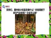 人教版PEP(2024)英語四年級上冊Unit 5 The weather and us - Part C 課件+教學設(shè)計